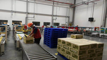 零食出海升級新篇章 洽洽5億元海外建廠與電商平臺服務的雙重驅動